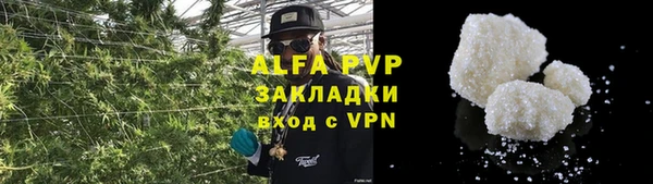 хмурый Козловка