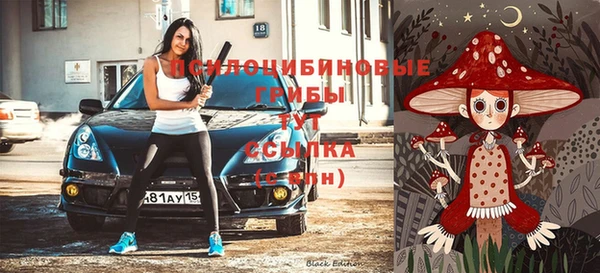 спайс Козельск