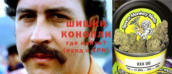 хмурый Козловка