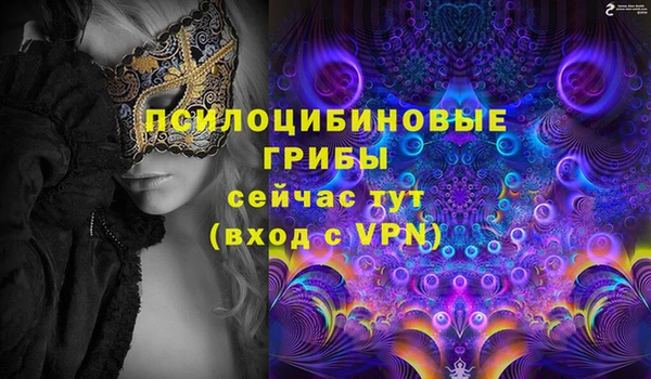 спайс Козельск