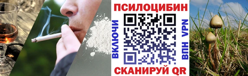 Купить где  Пыть-Ях  Галлюциногенные грибы Cubensis 